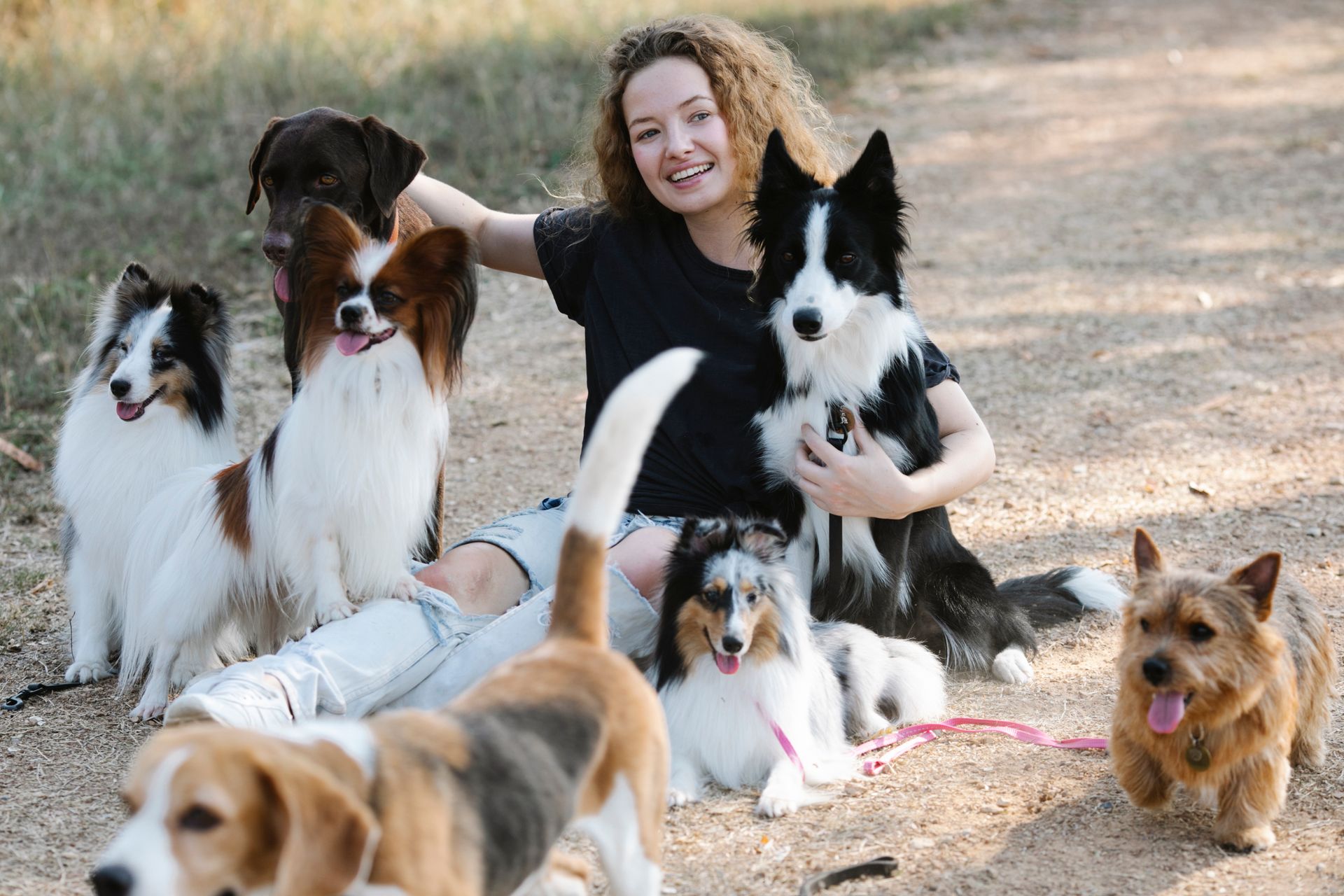 A dog walker smiling while walking a dog